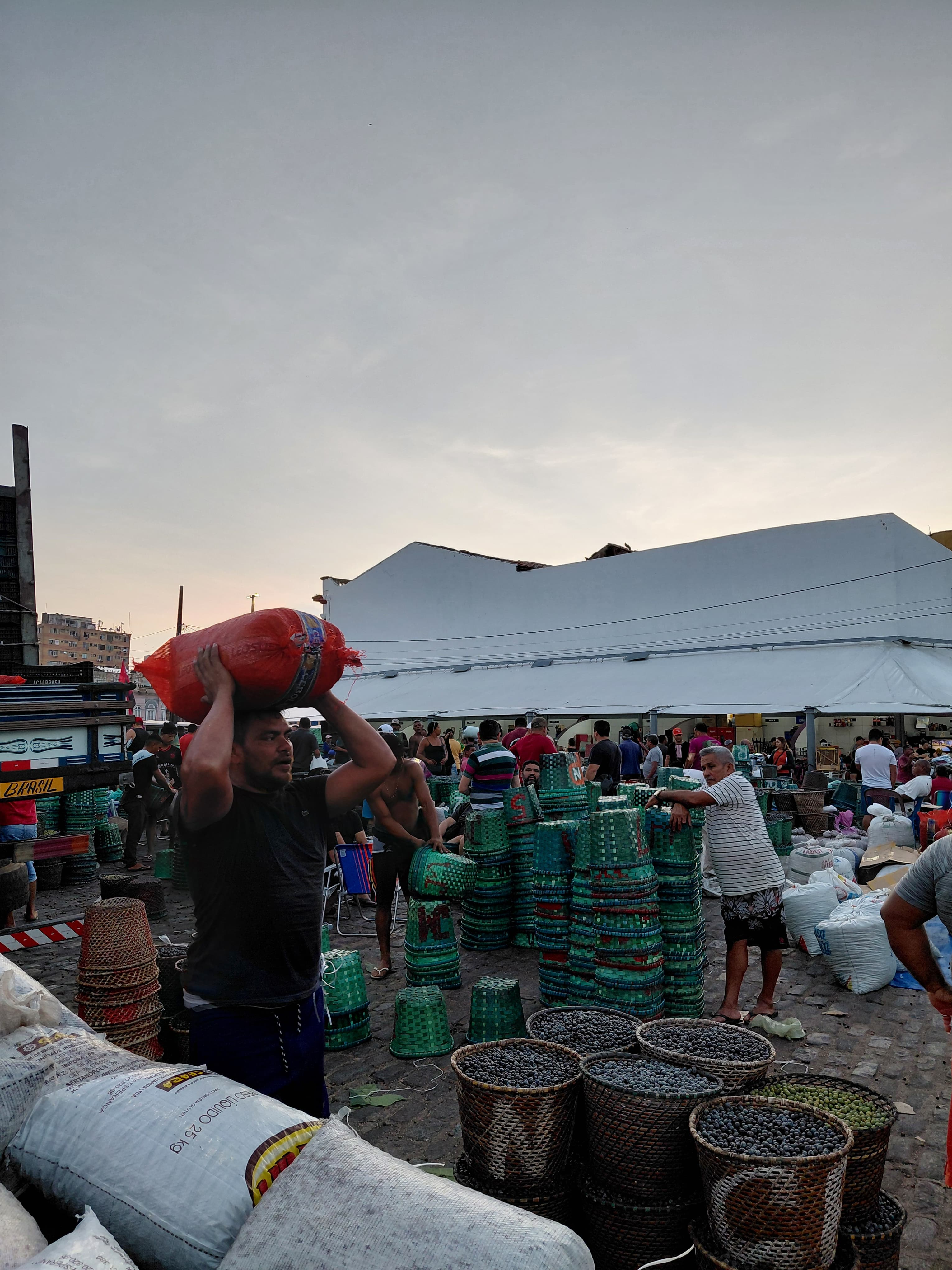 Açaí pronto para o mercado